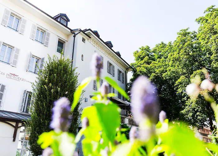Animaux admis Privilodges Le Royal
